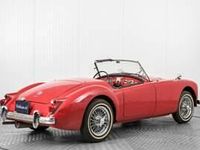 Usado MG 1600 79 CV (58 kW) 1961 Rojo Descapotable