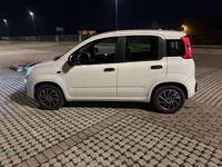 Usata Fiat Panda Easy 69 CV (50 kW) 2015 Utilitaria