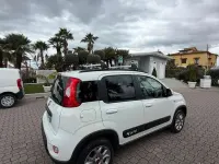 Usata Fiat Panda 75 CV (55 kW) 2014 Other Utilitaria