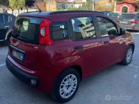 Usata Fiat Panda 69 CV (50 kW) 2013 Rosso Utilitaria