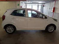 Usata Kia Picanto 67 CV (49 kW) 2023 Bianco Utilitaria