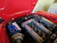 Usata Alfa Romeo Spider Veloce 1970 Rosso Cabrio