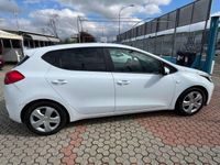 usata Kia Ceed Ceed / cee'd1.4 Cool Gpl da rinnovare