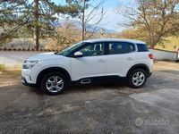 Usata Citroën C5 Aircross Business Class 131 CV (96 kW) 2019 Bianco SUV