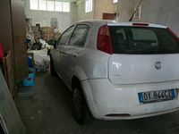 Usata Fiat Punto 77 CV (56 kW) 2009 Bianco Utilitaria