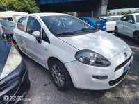 Usata Fiat Punto Lounge 69 CV (50 kW) 2016 Bianco Utilitaria