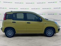 Nuova Fiat Panda Icon 69 CV (50 kW) 2025 Giallo Utilitaria