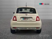 Usata Fiat 500 Collezione 69 CV (50 kW) 2019 Bianco Berlina