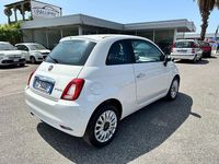Usata Fiat 500 Lounge 70 CV (51 kW) 2020 Bianco Utilitaria