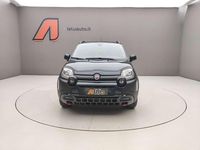 Usata Fiat Panda Cross Cross 70 CV (51 kW) 2024 Verde foresta Utilitaria