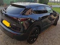 Usata Mazda CX-30 Homura-Line 150 CV (110 kW) 2023 SUV