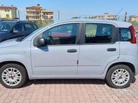Usata Fiat Panda Easy 69 CV (50 kW) 2019 Grigio Utilitaria