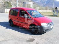 usata VW Caddy 1.9 TDI 105CV DSG 5p. Life Duo