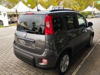 usata Fiat Panda 1.0 1.0 FireFly S&S Hybrid