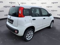 usata Fiat Panda 0.9 t.air t. natural power Pop 80cv E6