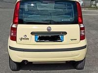 Usata Fiat Panda 77 CV (56 kW) 2009 Utilitaria