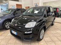 usata Fiat Panda 1.0 FireFly S&S Hybrid