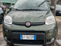 Usata Fiat Panda 4x4 75 CV (55 kW) 2014 Verde Utilitaria