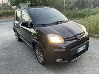 Usata Fiat Panda 4x4 Cross 75 CV (55 kW) 2013 Utilitaria