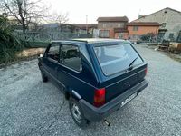 Usata Fiat Panda 4x4 Club 50 CV (36 kW) 1993 Blu Utilitaria