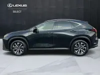 Usata Lexus NX300h 243 CV (178 kW) 2022 Nero SUV