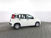 Nuova Fiat Panda Icon 65 CV (47 kW) 2025 Bianco gelato Utilitaria