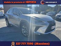 Usata Lexus NX300h Business Edition 155 CV (114 kW) 2020 Grigio SUV