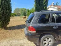 Usata Hyundai Santa Fe 112 CV (82 kW) 2005 Nero SUV