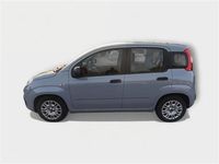 Usata Fiat Panda S 71 CV (52 kW) 2022 Azzurro Utilitaria