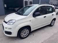 Usata Fiat Panda Lounge 69 CV (50 kW) 2012 Bianco Utilitaria