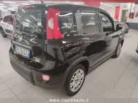 Usata Fiat Panda Easy 69 CV (50 kW) 2023 Nero Utilitaria