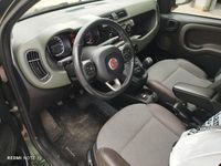 Usata Fiat Panda 4x4 S 75 CV (55 kW) 2014 Verde Utilitaria
