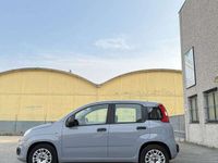 Usata Fiat Panda Easy 69 CV (50 kW) 2017 Other Utilitaria
