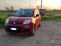 Usata Fiat Panda 69 CV (50 kW) 2013 Rosso Utilitaria
