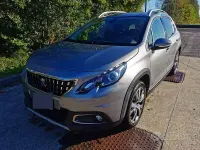 Usata Peugeot 2008 102 CV (75 kW) 2019 Bluazzurro SUV