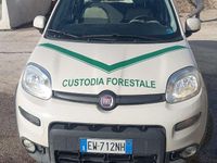 Gebraucht Fiat Panda 4x4 75 PS (55 kW) 2014 Weiß Kleinwagen