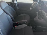 Usata Fiat Panda 69 CV (50 kW) 2020 Grigio Utilitaria