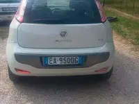 Usata Fiat Punto Evo Emotion 77 CV (56 kW) 2010 Utilitaria