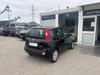 Usata Fiat Panda S 69 CV (50 kW) 2021 Nero Utilitaria