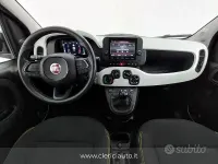 Usata Fiat Panda Cross Cross 65 CV (47 kW) 2026 Verde Utilitaria