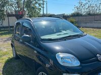 Usata Fiat Panda 69 CV (50 kW) 2019 Nero Utilitaria