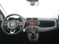 Usata Fiat Panda Easy 95 CV (69 kW) 2017 Beige cappuccino Utilitaria