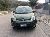 Usata Fiat Panda Trekking 80 CV (58 kW) 2014 Verde Berlina