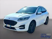Usata Ford Kuga ST-Line 150 CV (110 kW) 2023 Frozen white SUV