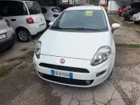 Usata Fiat Punto Lounge 69 CV (50 kW) 2015 Bianco Utilitaria