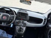 Usata Fiat Panda Cross Cross 70 CV (51 kW) 2022 Grigio Utilitaria