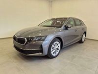Usata Skoda Octavia Executive 116 CV (85 kW) 2023 Other Station wagon