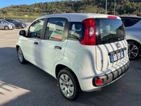 usata Fiat Panda 1.2 unico proprietario, non fumatore, km certificati