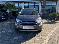 usata Ford Ecosport EcoSport1.5 ecoblue Titanium s