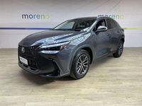 Usata Lexus NX350h 243 CV (178 kW) 2022 Grigio SUV